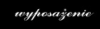 Wyposa�enie